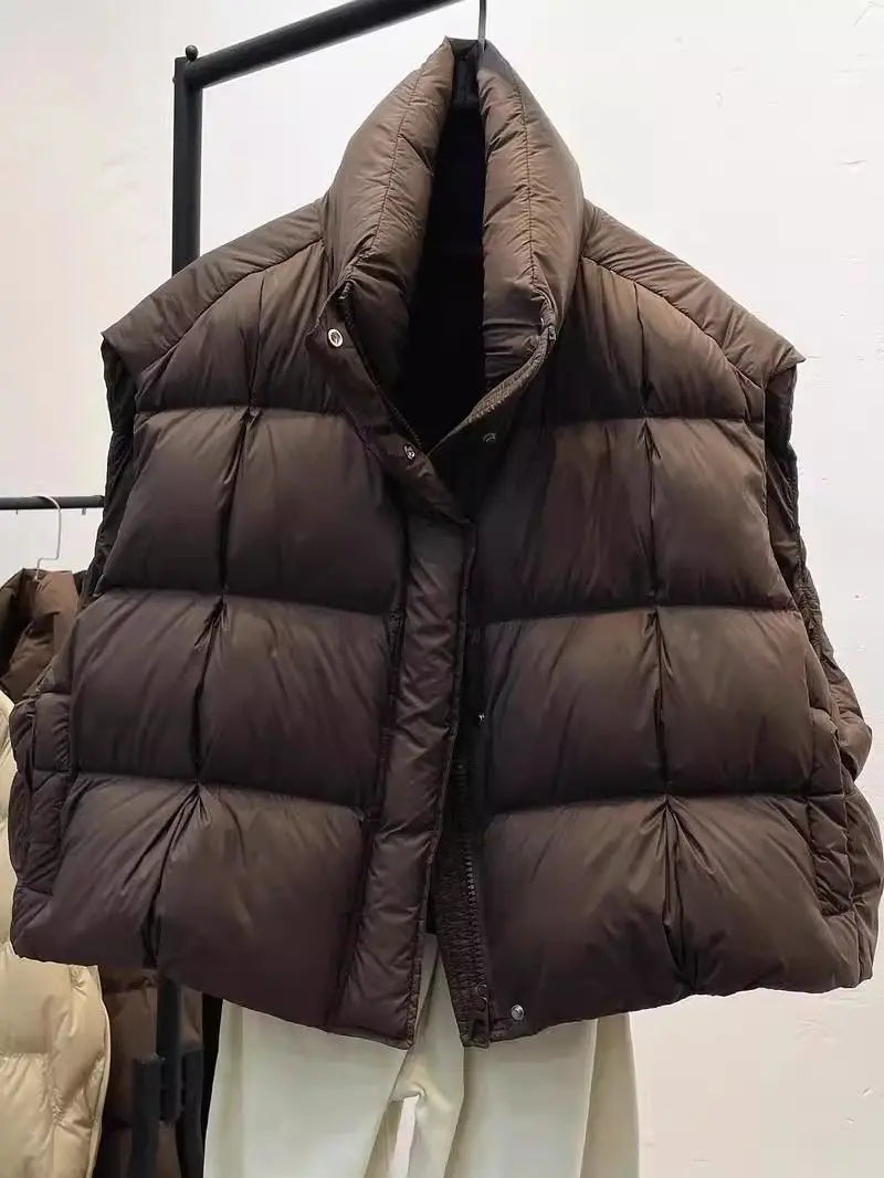 Thick Warm Women's Waistcoat Stand Collar Sleeveless Winter Coat 2025 New Fashion Loose Short Vest Outerwear