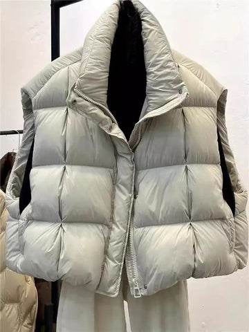 Thick Warm Women's Waistcoat Stand Collar Sleeveless Winter Coat 2025 New Fashion Loose Short Vest Outerwear